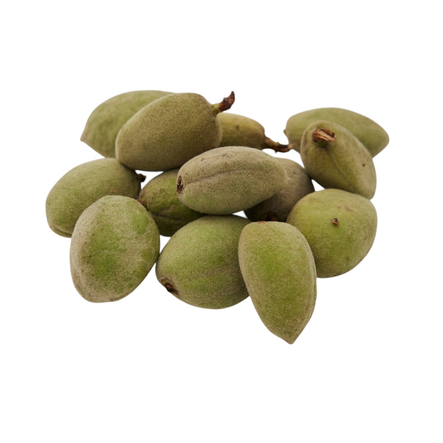 HARA BADAM