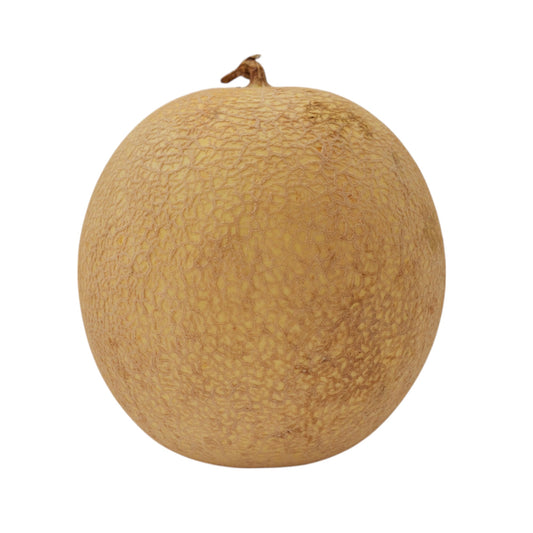 HONEYDEW MELON
