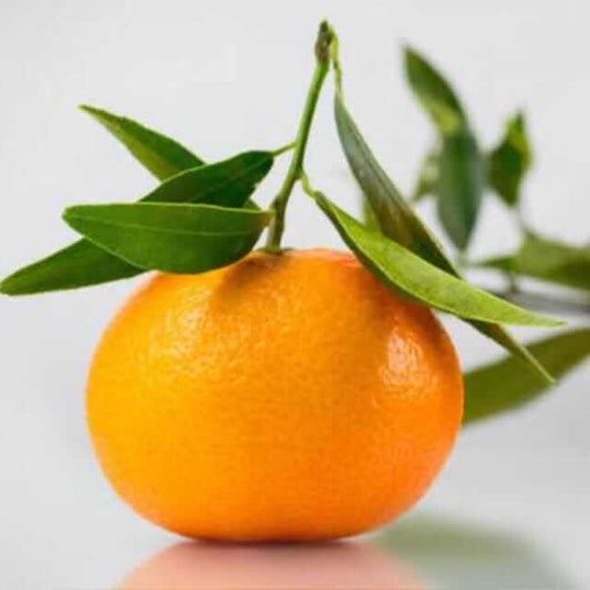 MANDARIN (INDIAN KINNOW)