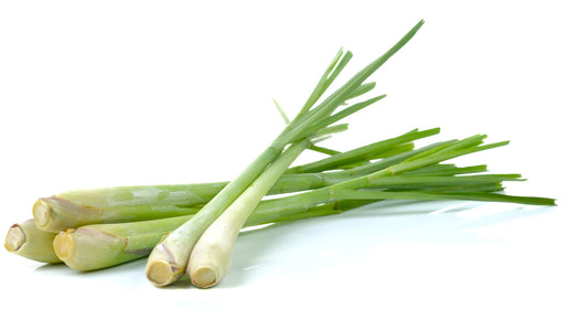 LEMON GRASS
