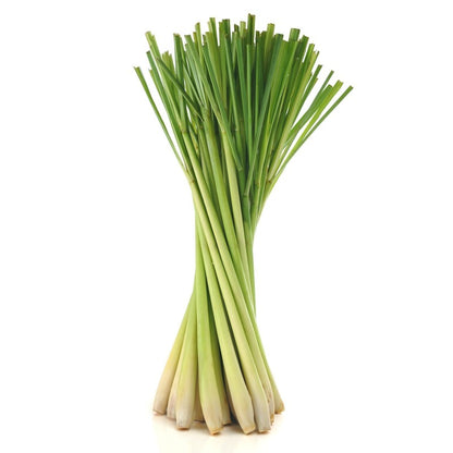 LEMON GRASS