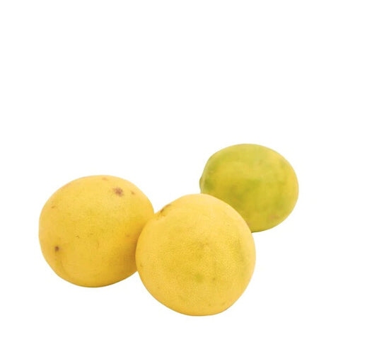 LEMON (NIMBU)