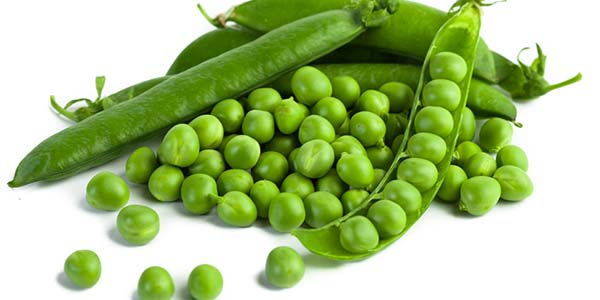 GREEN PEAS (MATAR JAIPUR)