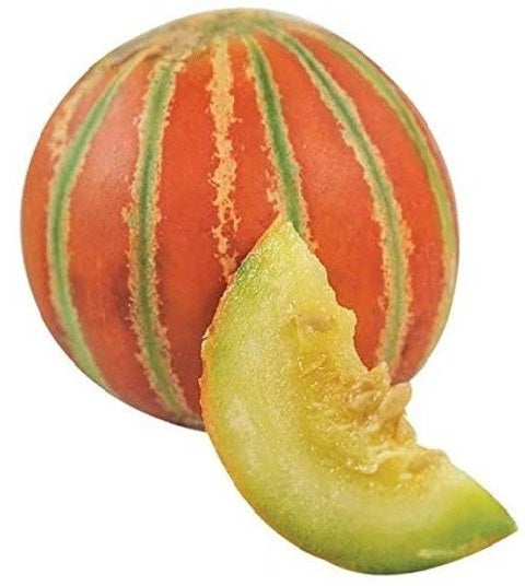 muskmelon