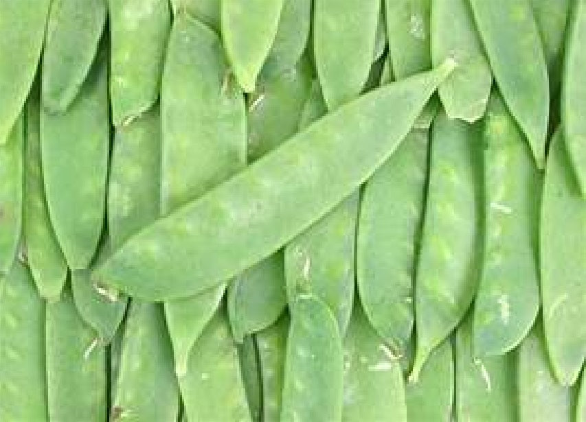 SNOW PEAS
