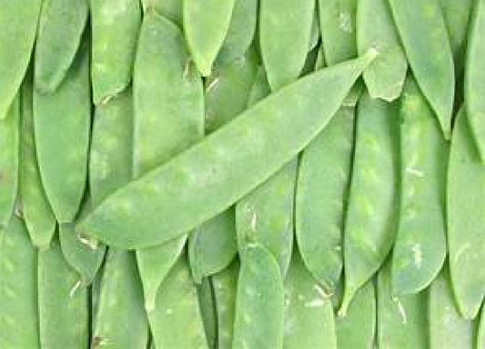 SNOW PEAS