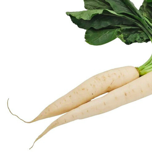 RADISH (MULI)