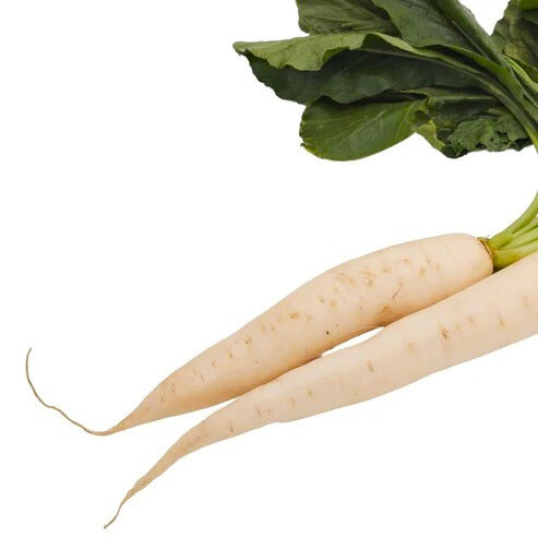 RADISH (MULI)