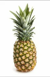 PINEAPPLE RANI