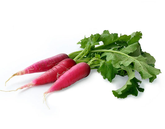 RADISH RED LONG (LAL MULI LAMBI)