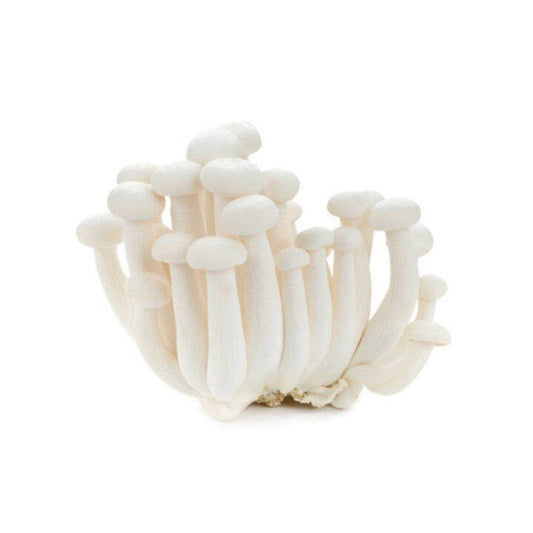 WHITE SHIMEJI (MUSHROOM)