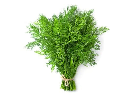 SOYA PATTA