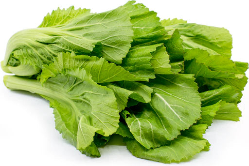 RAI SAAG