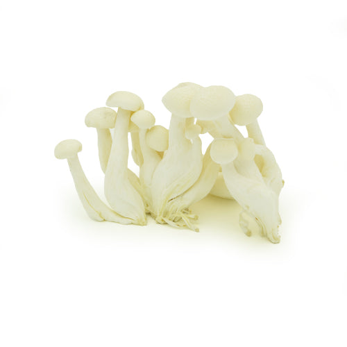 WHITE SHIMEJI (MUSHROOM)