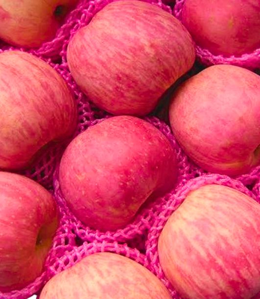 APPLE FUJI