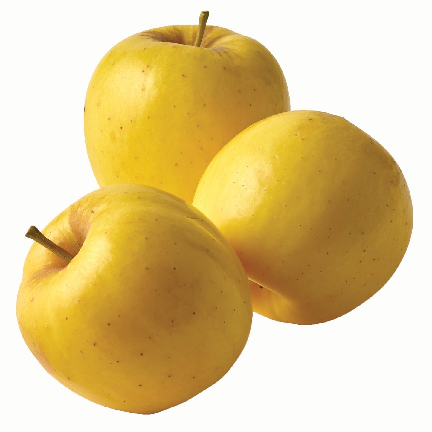 APPLE GOLDEN