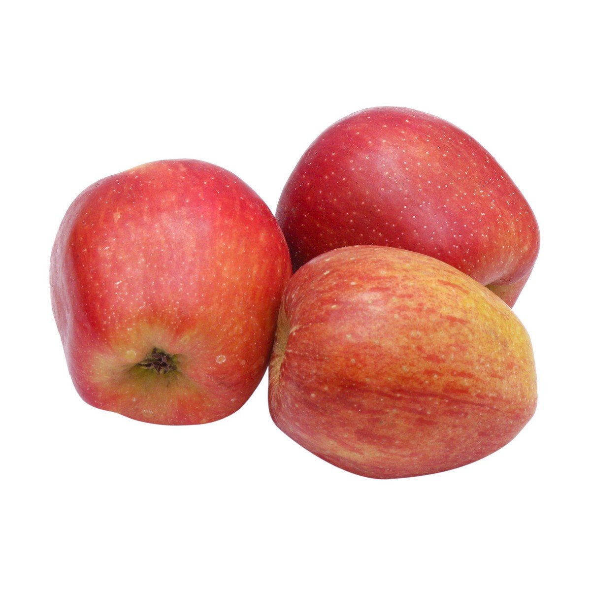 APPLE KASHMIR GALA
