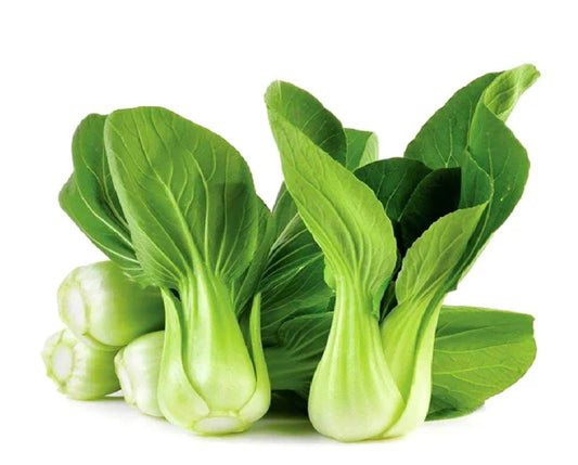 Pok Choy - Hydroponic