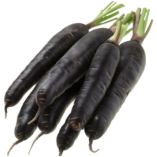 CARROT BLACK (KALE GAZAR)