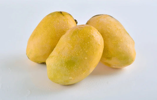 MANGO CHAUNSA (AAM)