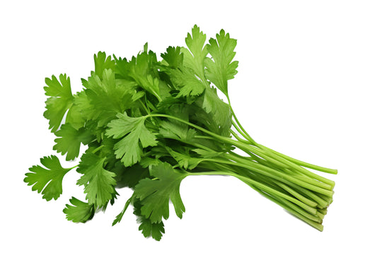 CORIANDER WITHOUT ROOT (HARI DHANIYA)