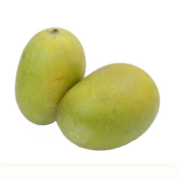 MANGO LANGRA (AAM)