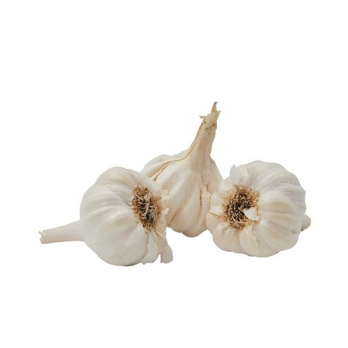 GARLIC DESI