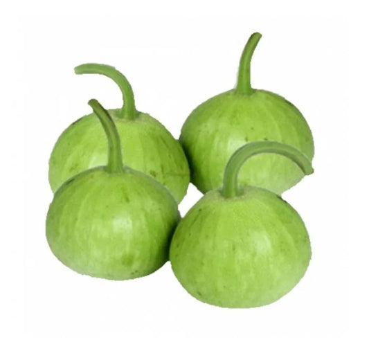 BOTTLE GOURD ROUND (GHIYA)