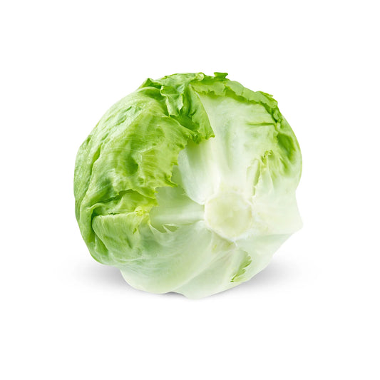 ICEBERG LETTUCE (iceberg Salad Patta)