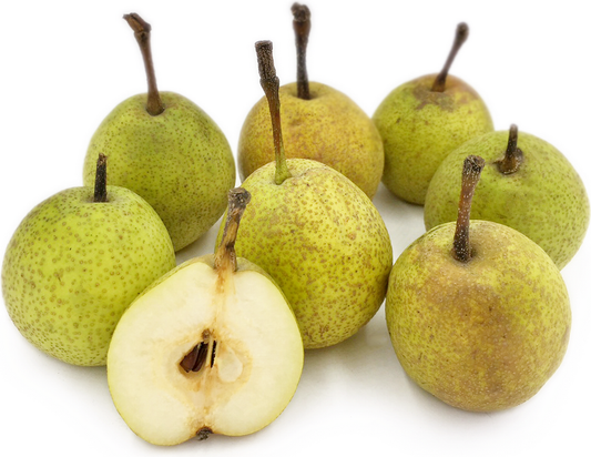 PEARS NASHPATI