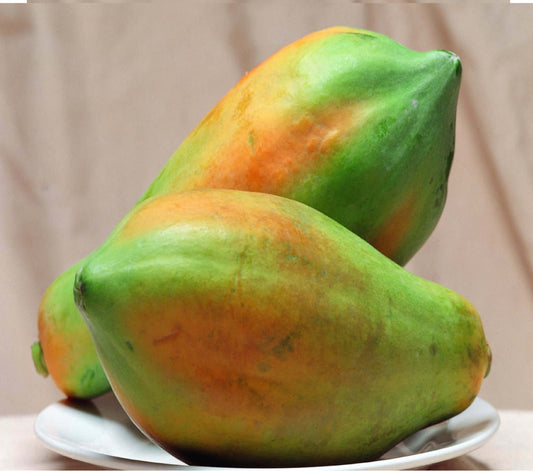papaya disco ( papita)