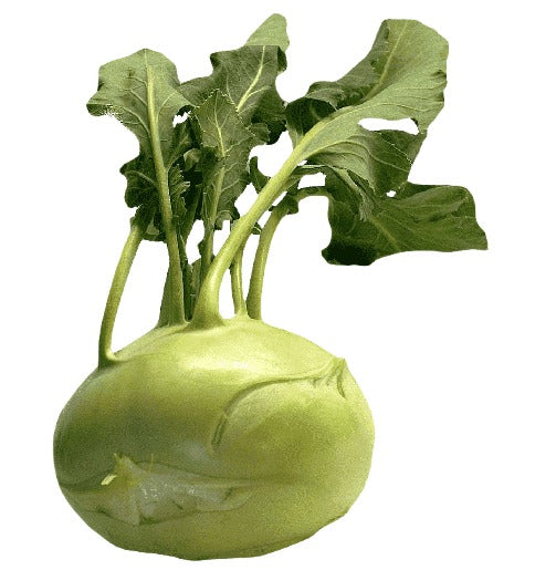 GANTHGOBI (KNOL-KHOL)