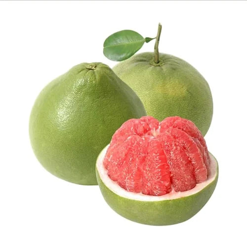 BIJAURA (CHAKOTRA)