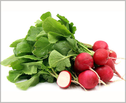 RADISH RED ROUND (LAL MULI)