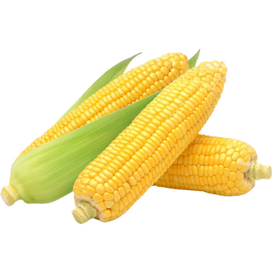 SWEET CORN (MAKKA)