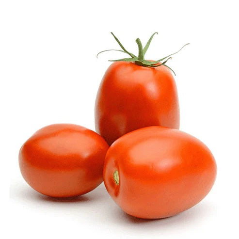 TOMATO (HYBRID) TAMATAR